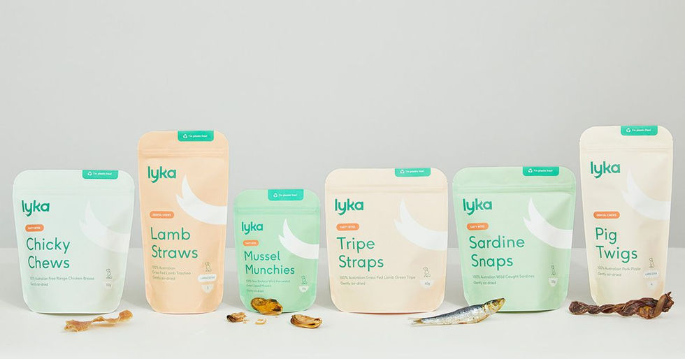 filters_format(jpeg)