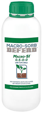 Macro-SI (1L).jpg