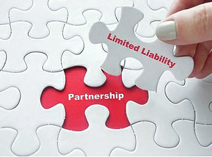 Limited Liabillity Partnership image