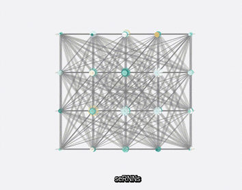 seRNNs looping.gif