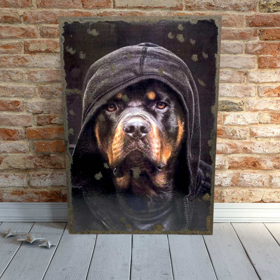 Miniature : Rottweiller
