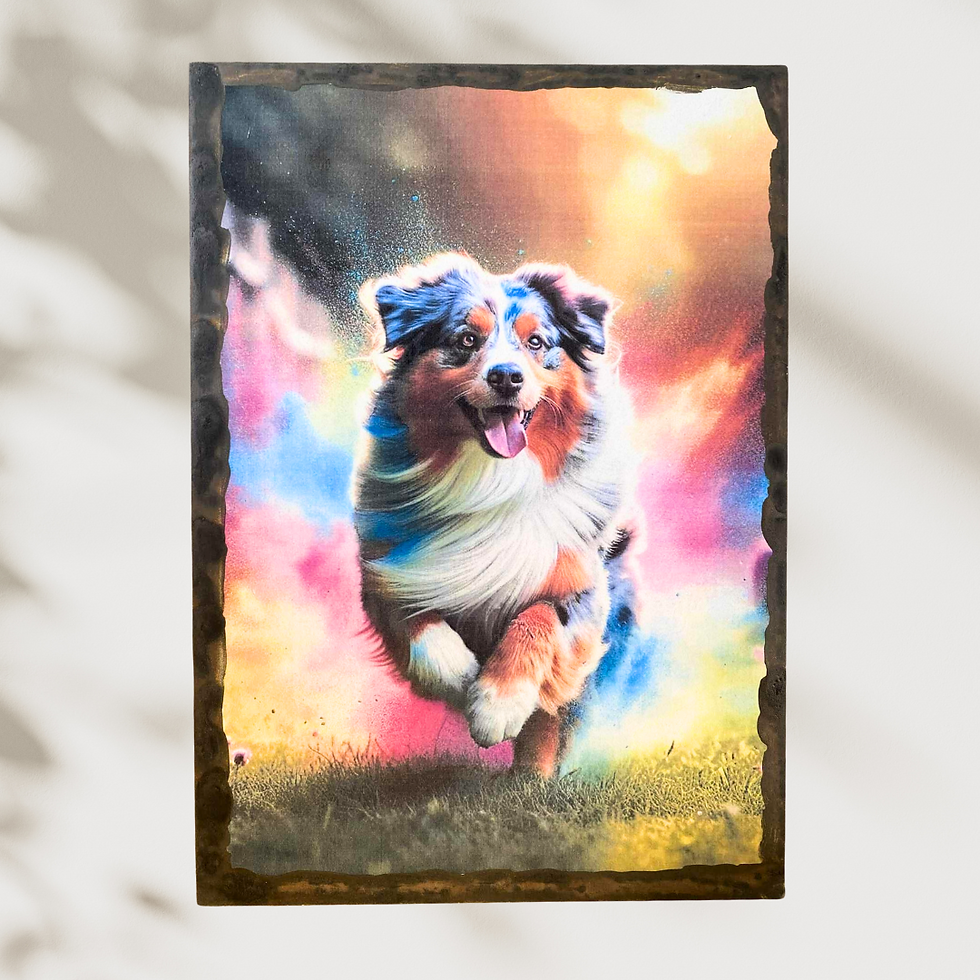 Miniature : Tableau Berger australien  ✨ Explosion de couleurs et énergie pure ! Ce tableau met à l’honneur un magnifique Berger Australi