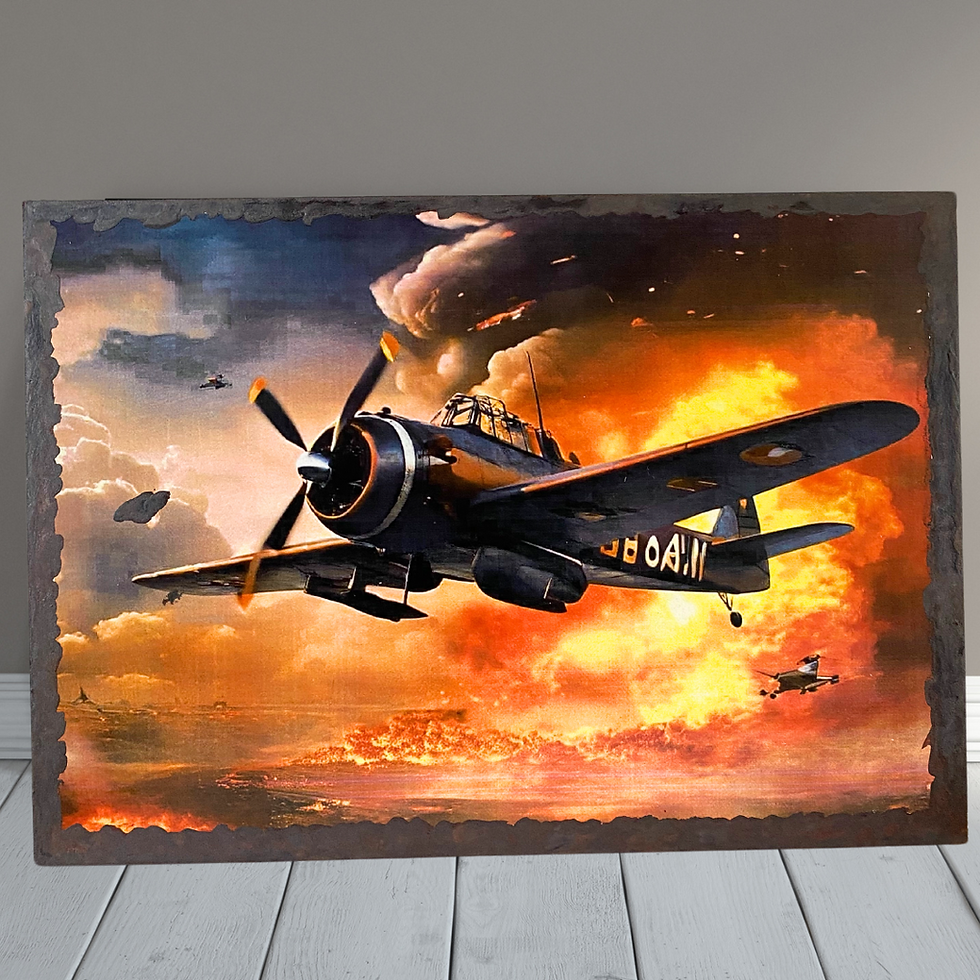 Miniature : avion de guerre