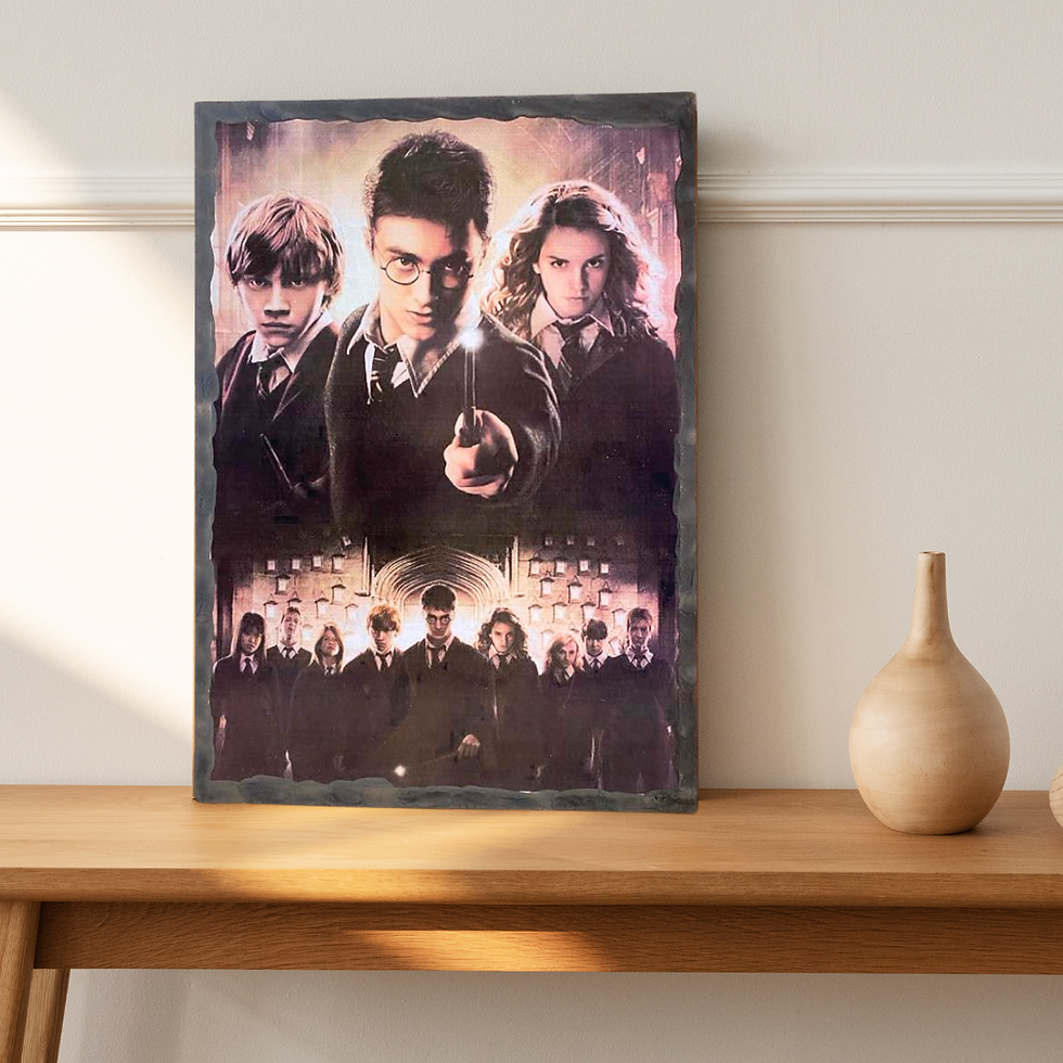 Miniature : Tableau Harry Potter  ✨ Rejoignez l’Armée de Dumbledore ! ✨  La magie prend vie avec ce tableau captivant inspiré de Harry Po