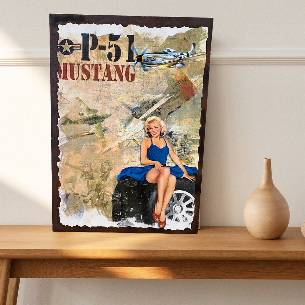 Miniature : P51 Mustang