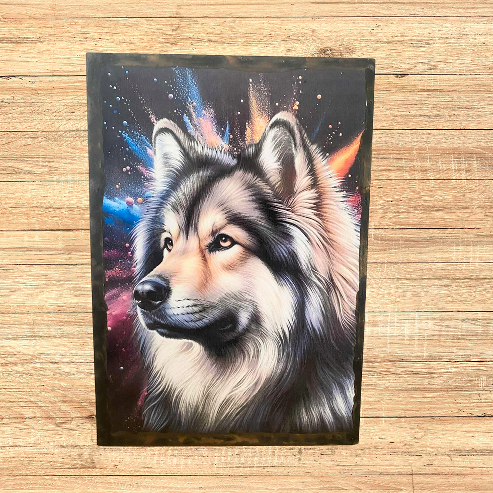 Miniature : Tableau Malamute d'alaska  Quand ton Malamute d’Alaska te regarde comme ça, tu sais qu’il prépare un plan… probablement pour