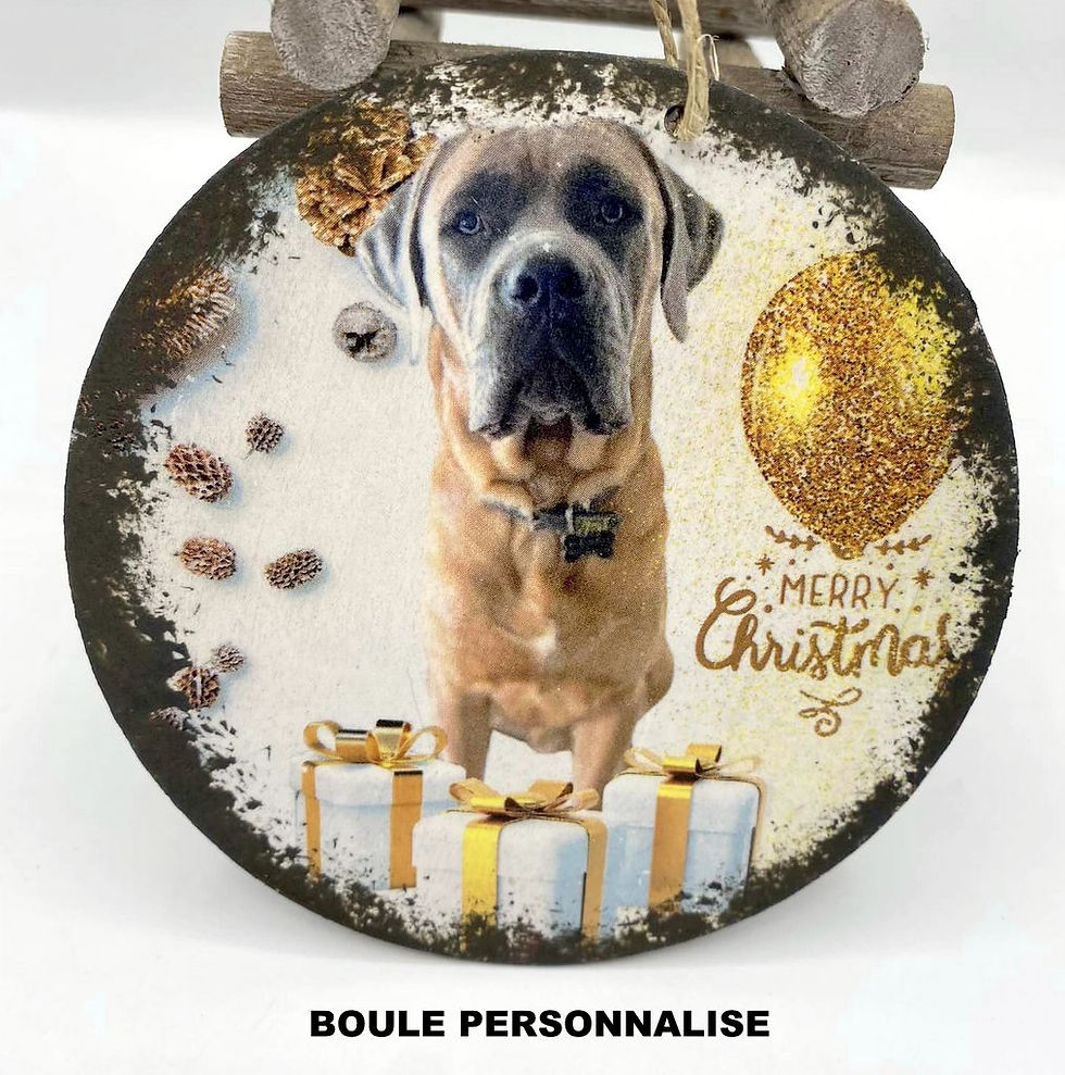 Boule de Noel personnalisé