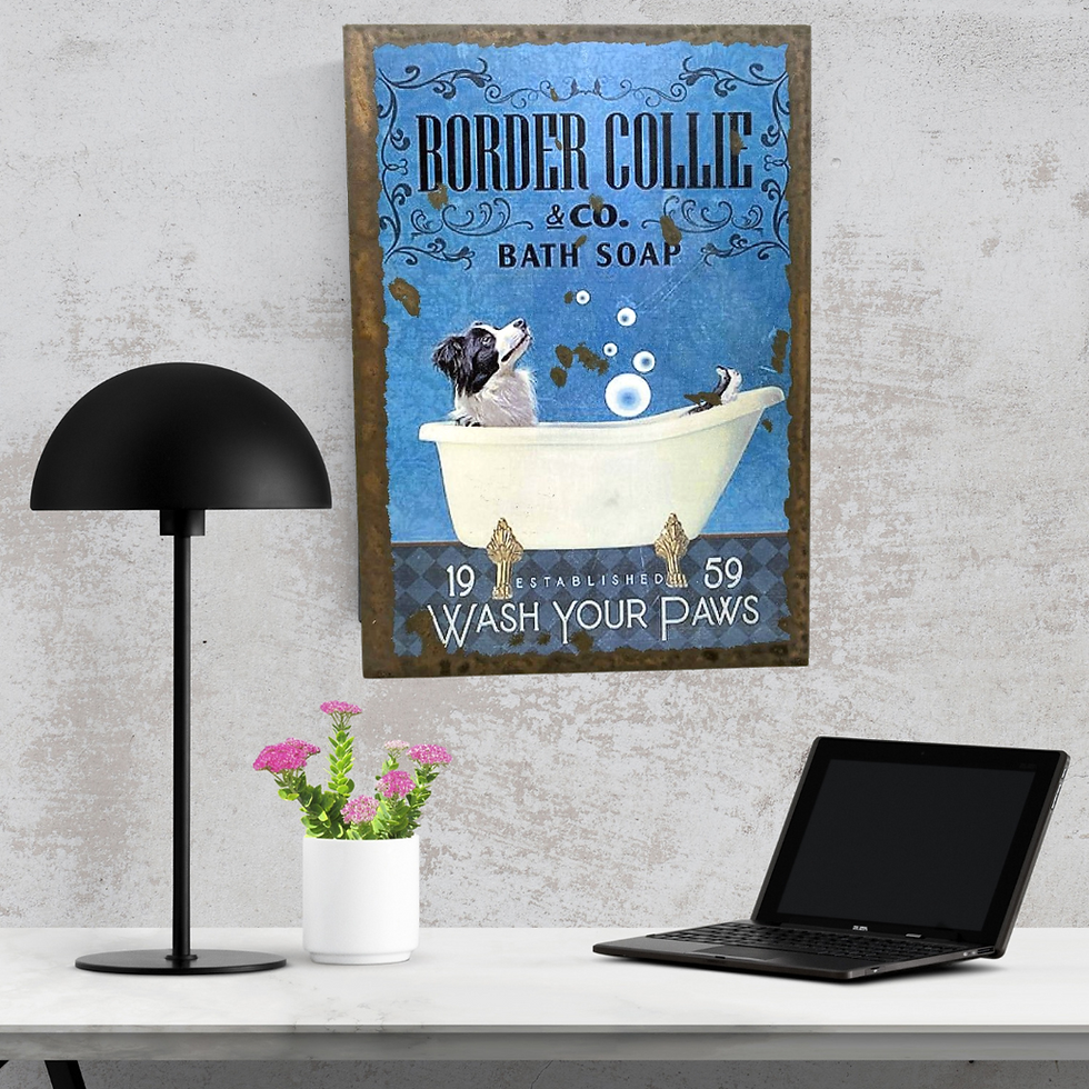 Miniature : Border collie
