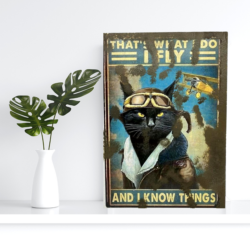 Miniature : chat aviateur