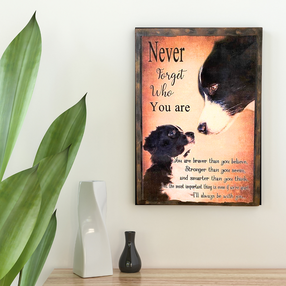Miniature : Tableau Border collie  🖤 Never forget who you are... Un regard, un message, une promesse. Ce tableau émouvant capture ce lie
