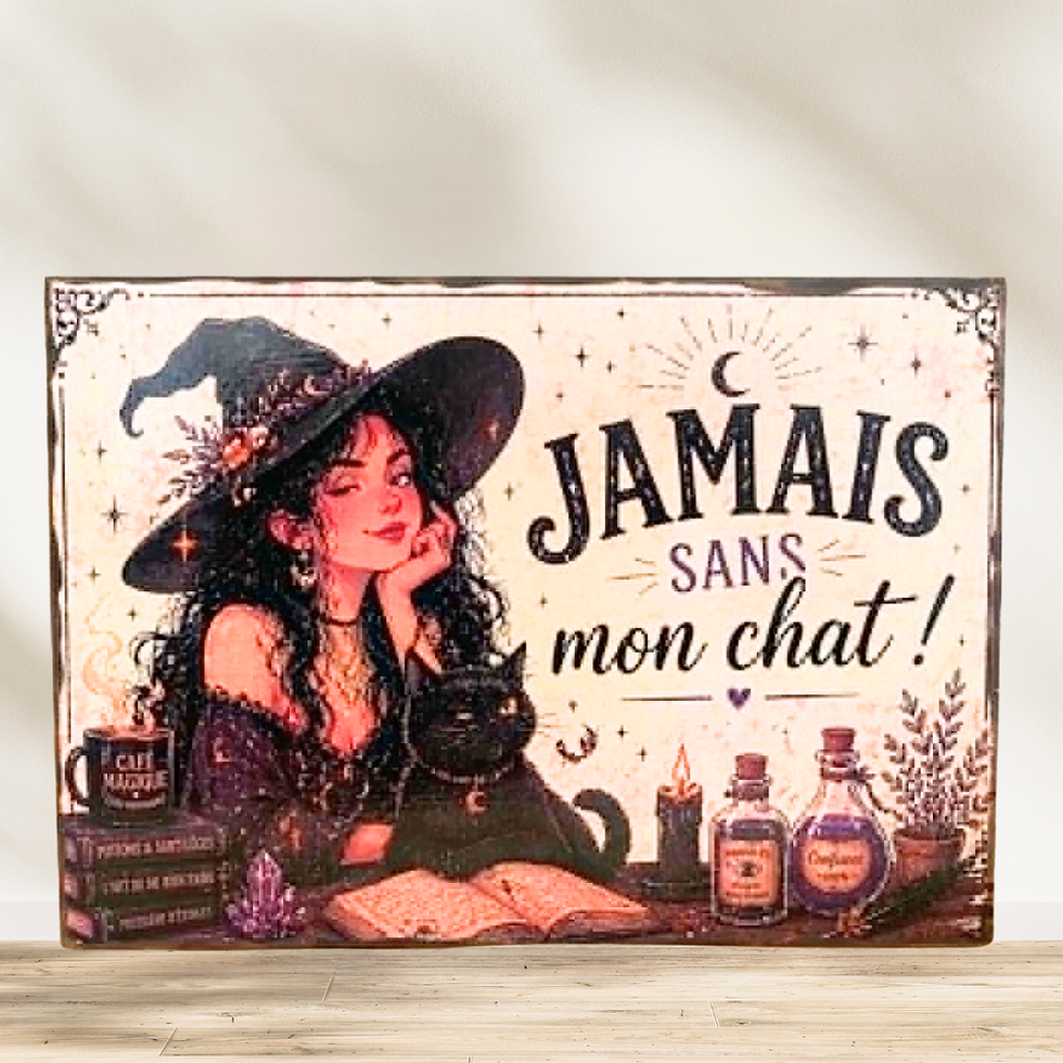 Tableau "La vie d'une fée"  🐈‍⬛✨ Parce qu’une vraie sorcière sait qu’aucune potion n’est complète sans son fidèle compagnon