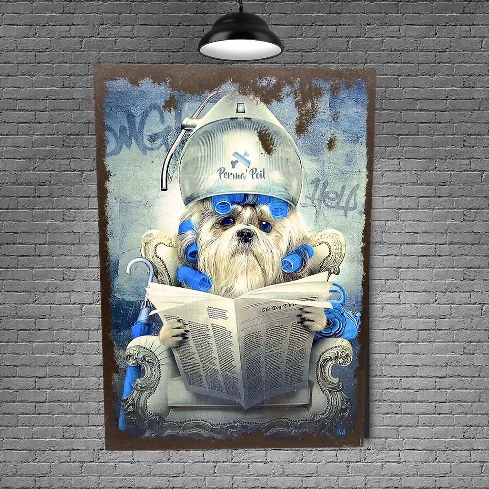 Miniature : chien toilettage