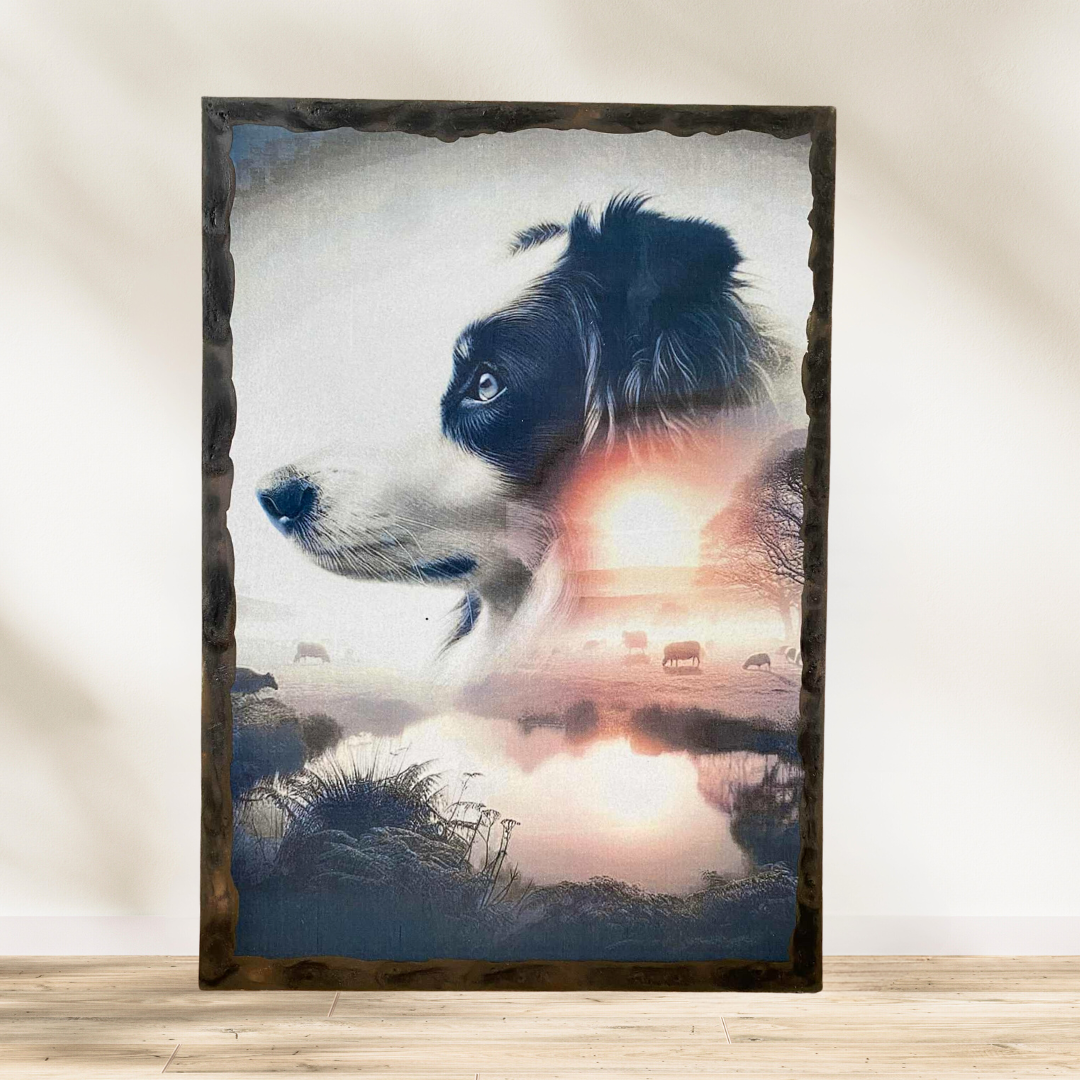 Tableau Border Collie  🌅 Quand la nature et la fidélité ne font qu’un… Ce magnifique tableau met à l’honneur le Border Colli