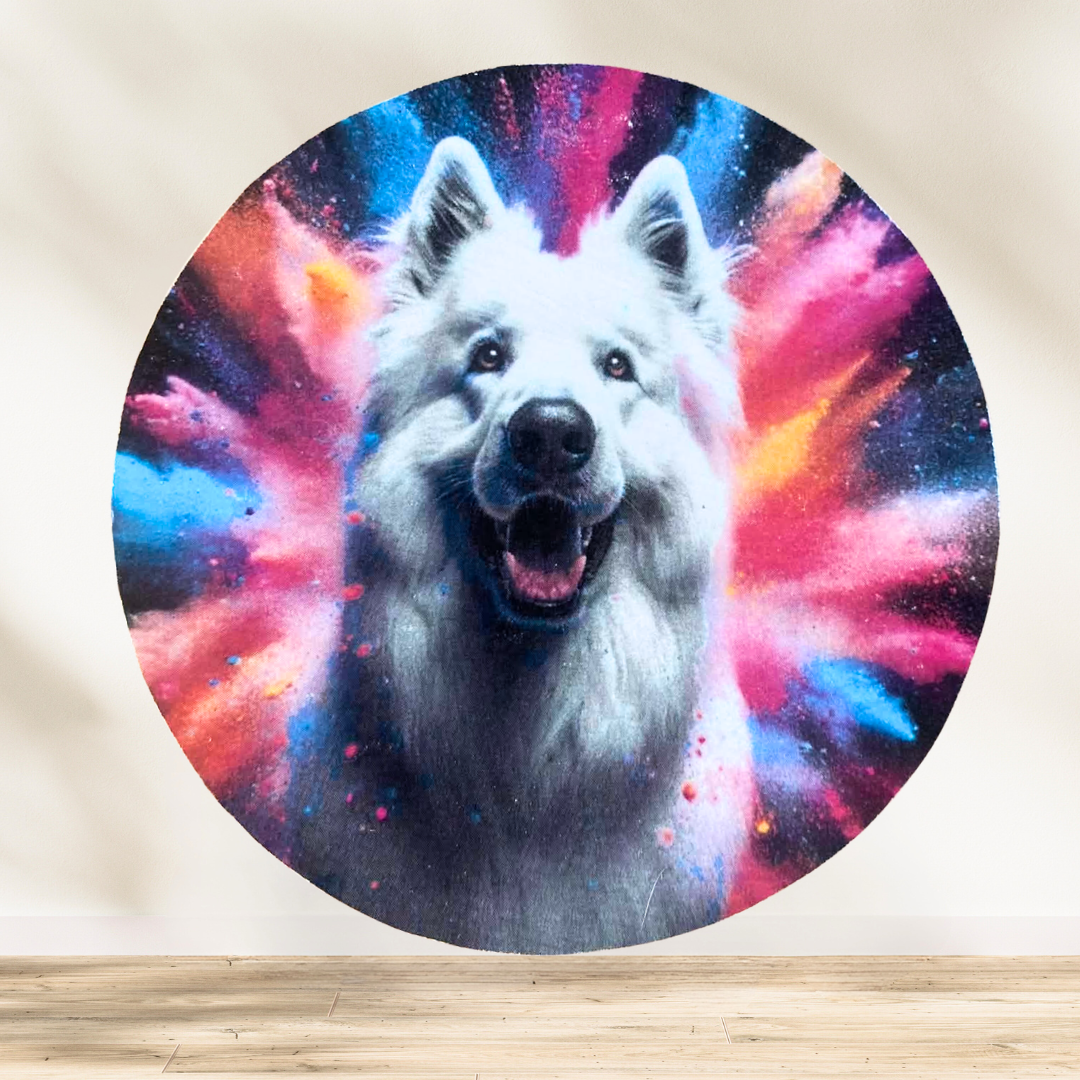 Dessous verre Berger Blanc Suisse 🐾🤍 Avis aux amoureux du Berger Blanc Suisse ! Difficile de résister à cette bouille et à