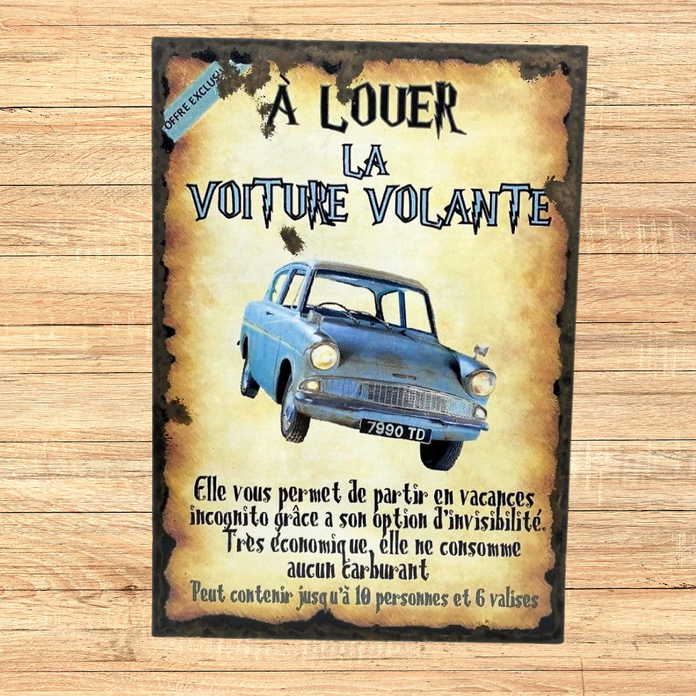 Miniature : A louer voiture volante