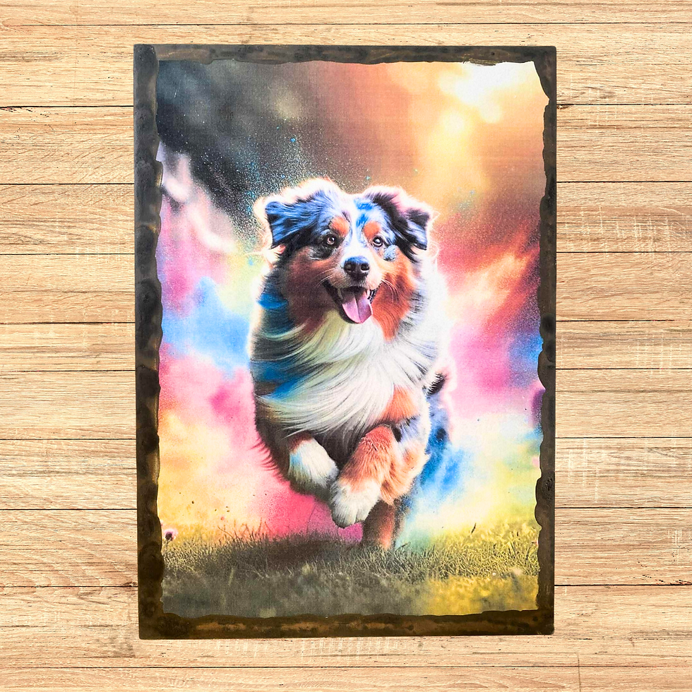 Miniature : Tableau Berger australien  ✨ Explosion de couleurs et énergie pure ! Ce tableau met à l’honneur un magnifique Berger Australi