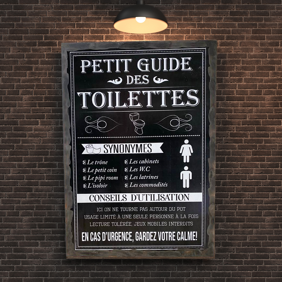 Miniature : Tableau petit guide des toilettes  🚽 BREAKING NEWS : Les toilettes ont enfin leur guide officiel ! 📜  Chez Sophie Création
