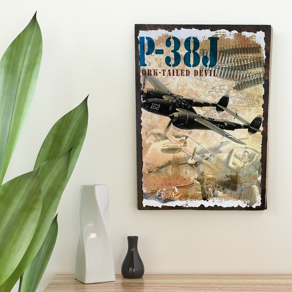 Miniature : avion de guerre