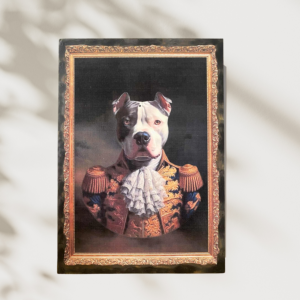 Miniature : Tableau pitbull  🎖️🐶 “Général Patoune, au rapport !”  Voici Son Altesse le Pitbull de la cour royale  prêt à conquérir le m