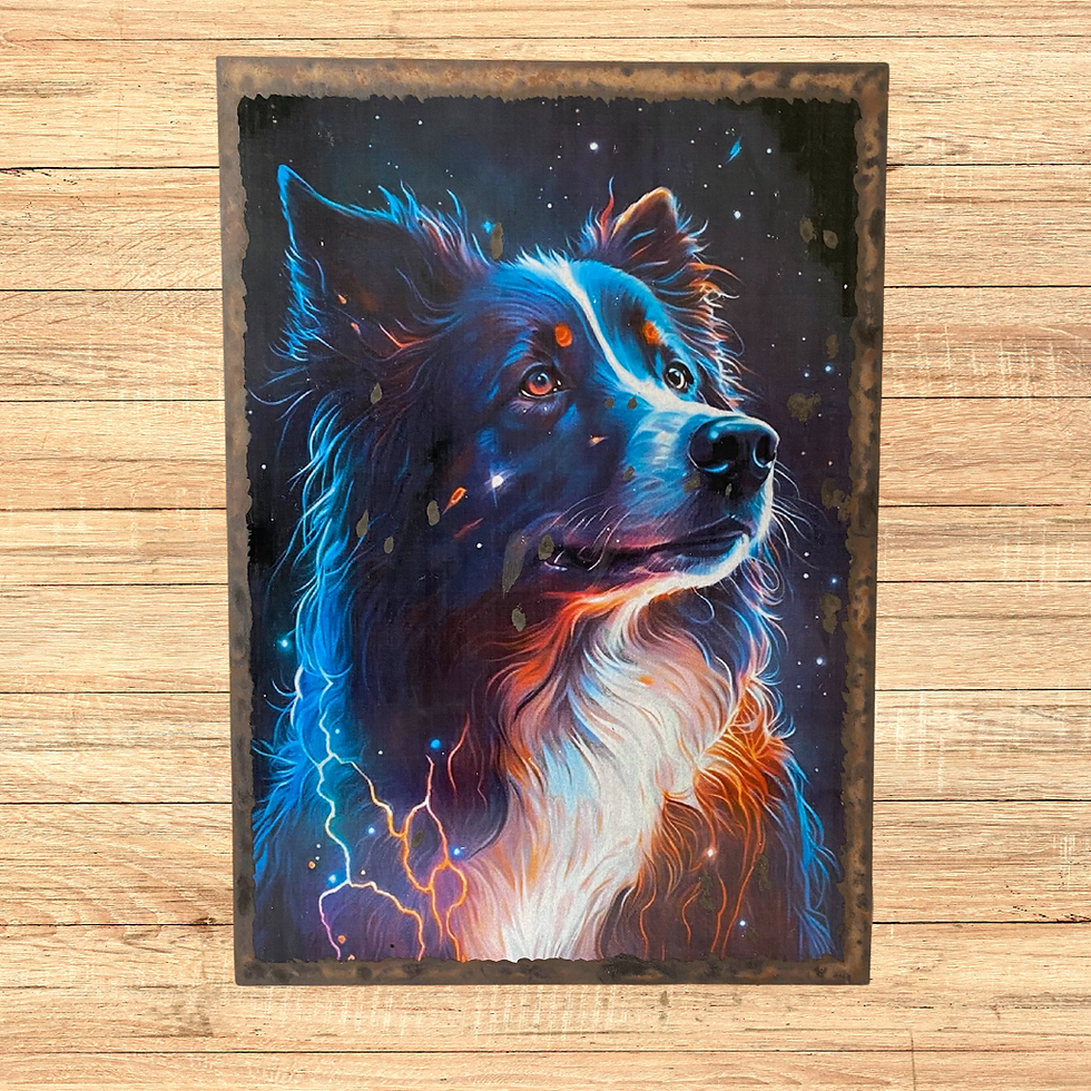 Miniature : Border collie