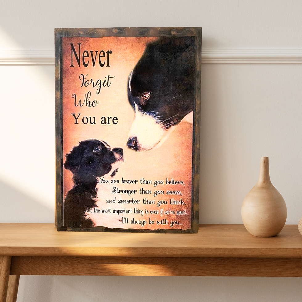 Miniature : Tableau Border collie  🖤 Never forget who you are... Un regard, un message, une promesse. Ce tableau émouvant capture ce lie