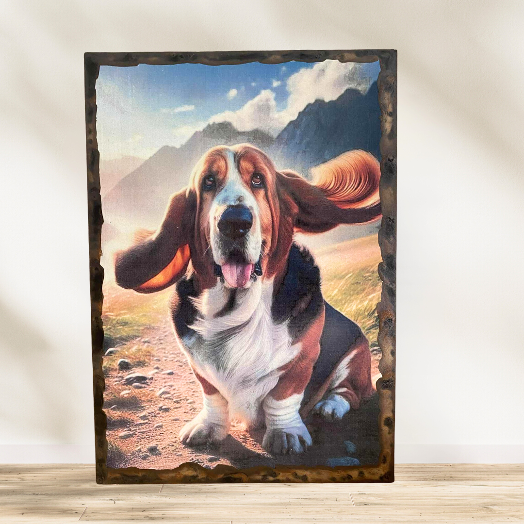 Tableau Basset hound  🐶💨 Quand t’essaies d’être stylé pour la photo, mais que le vent décide de participer aussi ! 😂 Voici