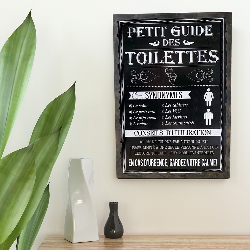 Miniature : Tableau petit guide des toilettes  🚽 BREAKING NEWS : Les toilettes ont enfin leur guide officiel ! 📜  Chez Sophie Création