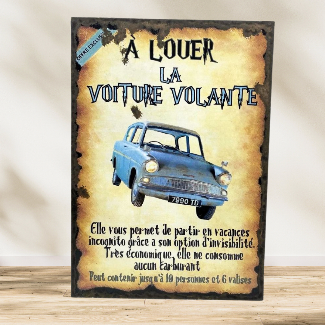 A louer voiture volante