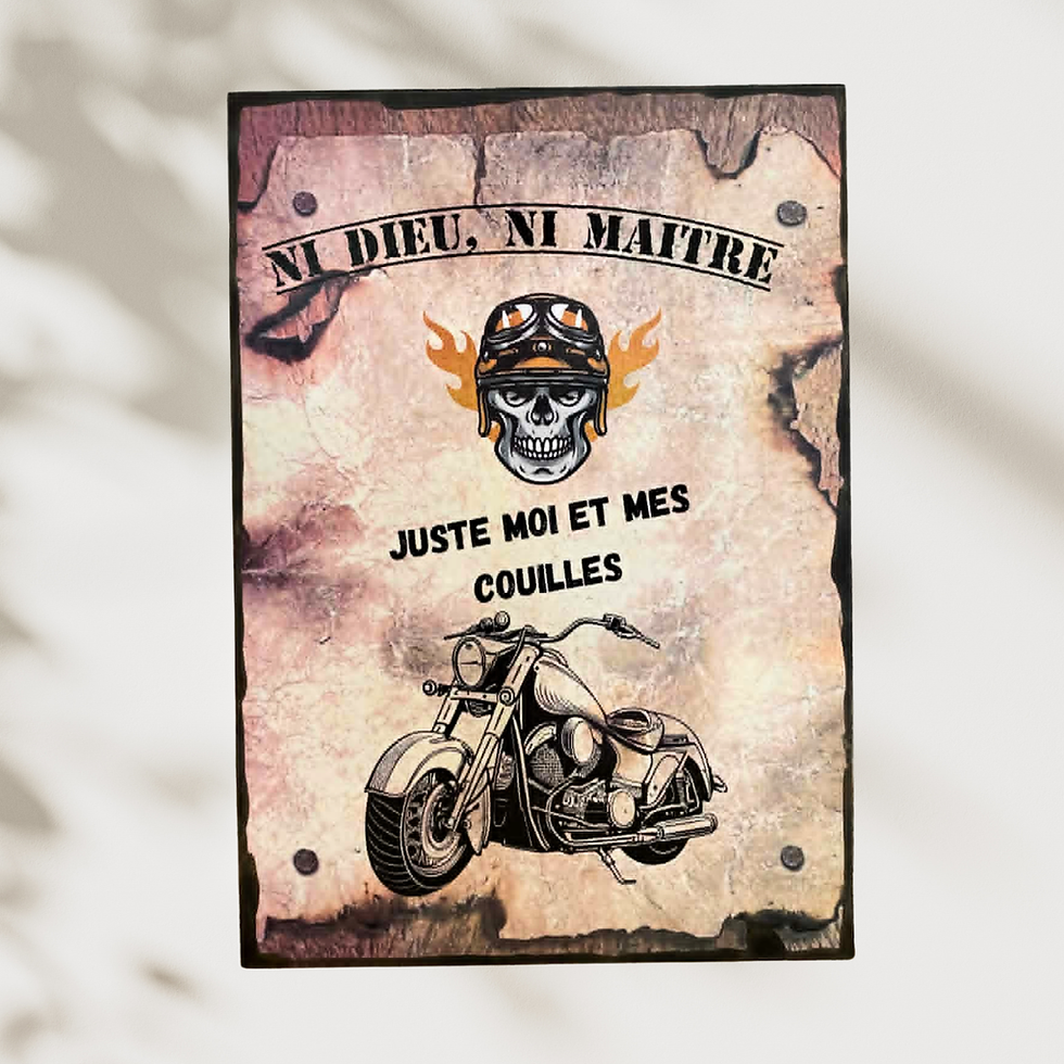 Miniature : Tableau humour Biker "Ni dieu, ni maitre, juste moi et mes couilles"  🏍️ Ni Dieu, ni maître… mais une moto, du caractère et