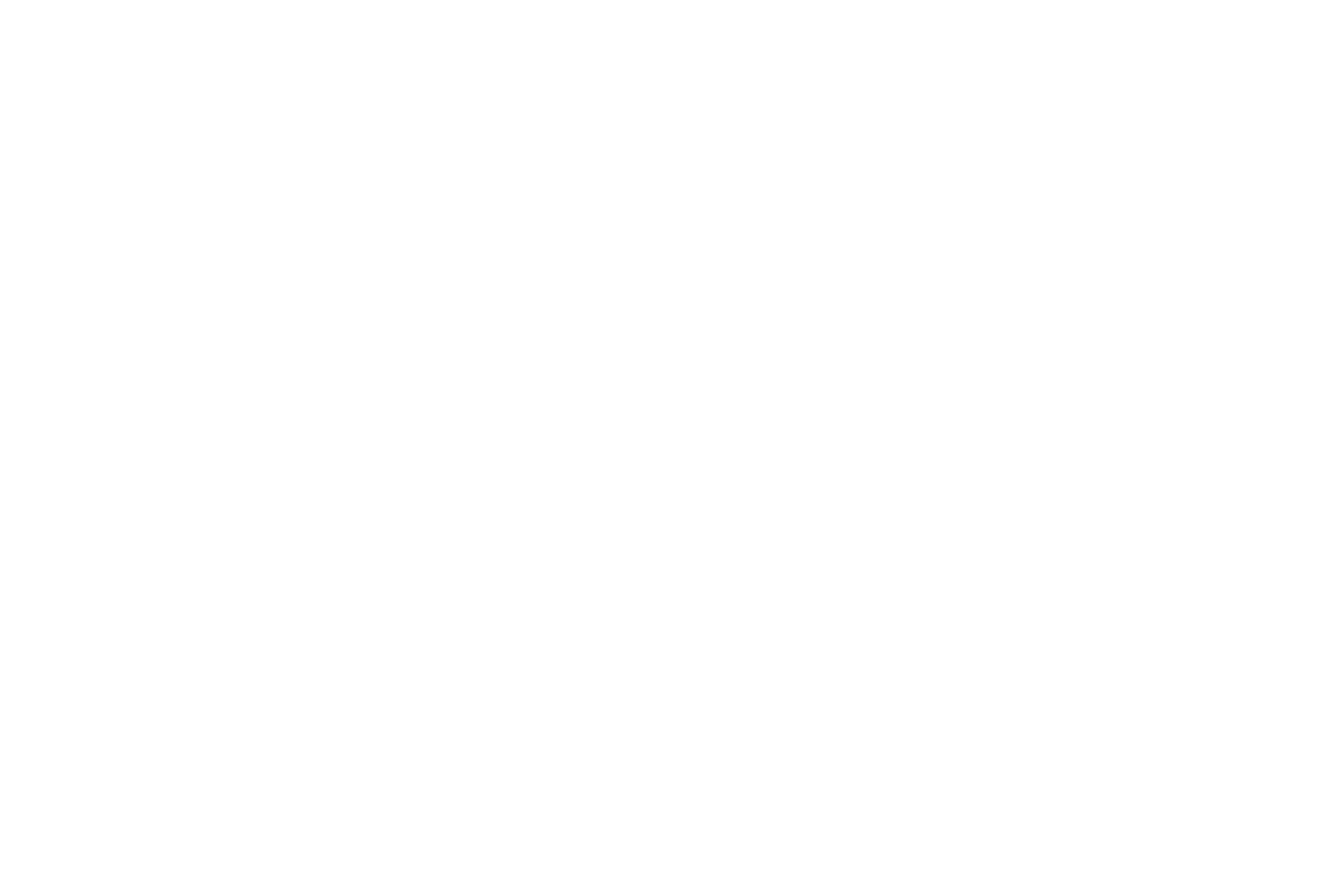sweetwaterhomeinspections-logo-whitepng.png