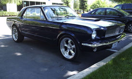 polara,blustang 014.jpg