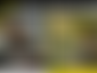 A banner about slow living