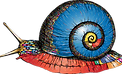 a snail