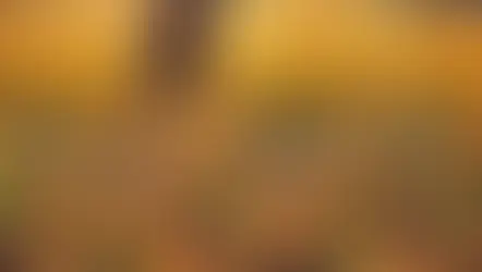 路加福音 第八章 1:21 Luke Chapter 8:1-21