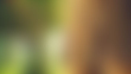 路加福音 第六章 27 - 49 Luke Chapter 6:27-49