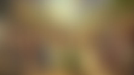 路加福音 第九章 9:1-20 Luke Chapter 9:1-20