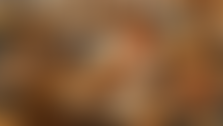 馬可福音 8:1-13 Mark 8:1-13