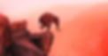 elephant.jpg