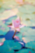 Ascend_edited.jpg