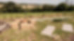 DSCF0157.JPG