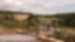 DSCF0813.JPG