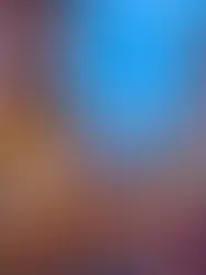 Montréal: Europe's Lost Colony in North America