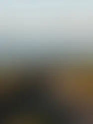 Vannkrav kan stoppe landskapshotell i Hamarøy – ber Mattilsynet om møte