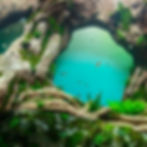 Photo by Juan Alberto Silva Hernández/Turismo Canarias