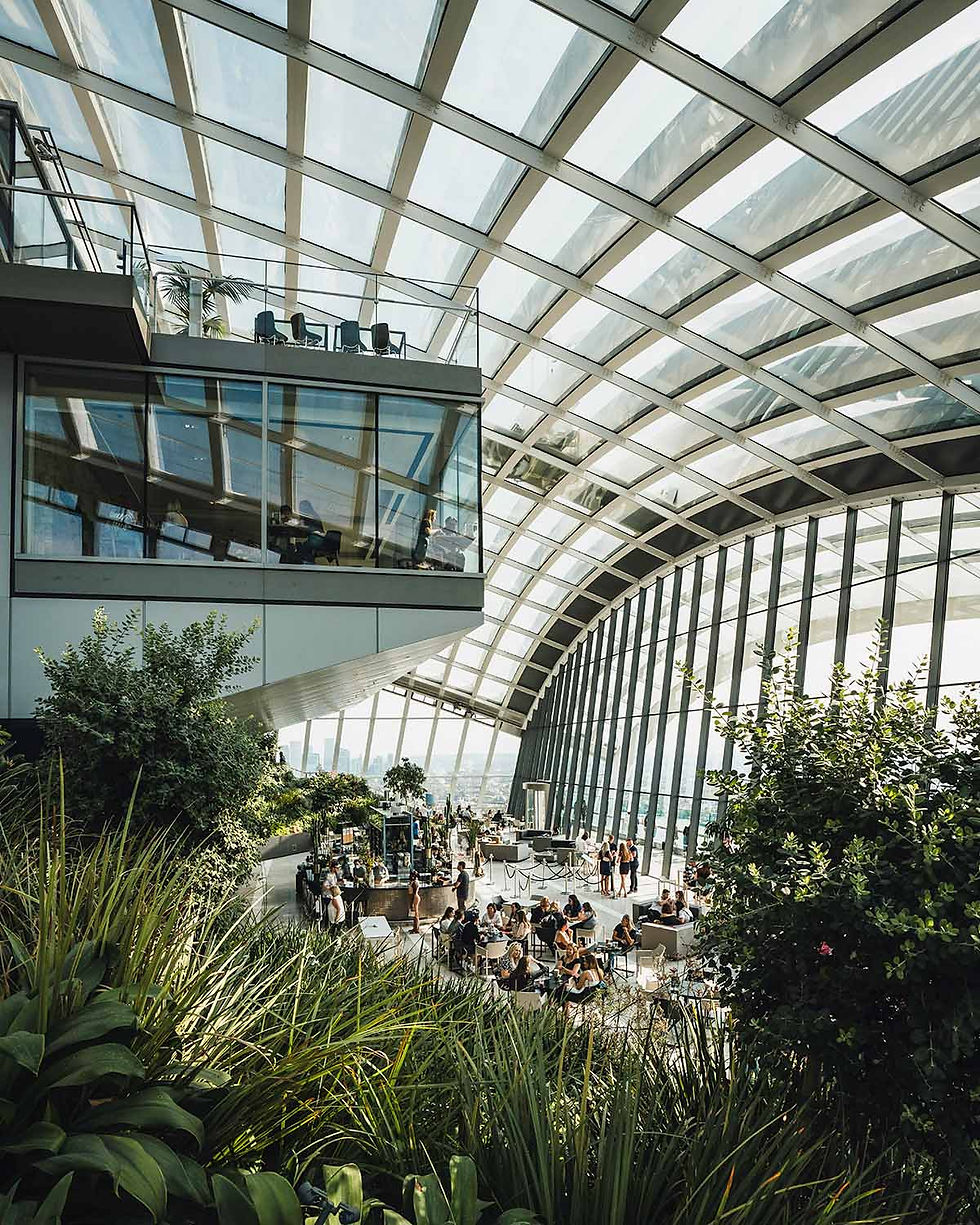 Photo by Max Patel/Unsplash, Karsten Winegeart/Unsplash and Rumman Amin(Unsplash