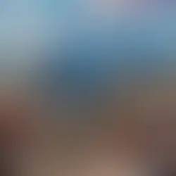 Where the City Meets the Wild