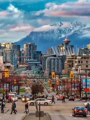 Where the City Meets the Wild