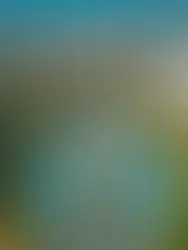 SAS inngår nytt samarbeid