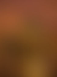 Citybreak- Nine must-sees and does for Hamburg Germany