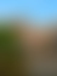 Ditch Amsterdam: Bruges is your Fairytale Escape